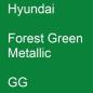 Preview: Hyundai, Forest Green Metallic, GG.